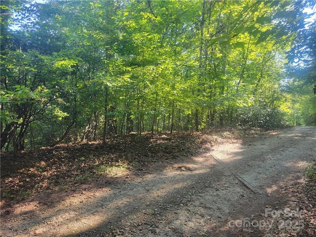 LOT5 Appaloosa Ln Unit 5, Tryon, NC 28782