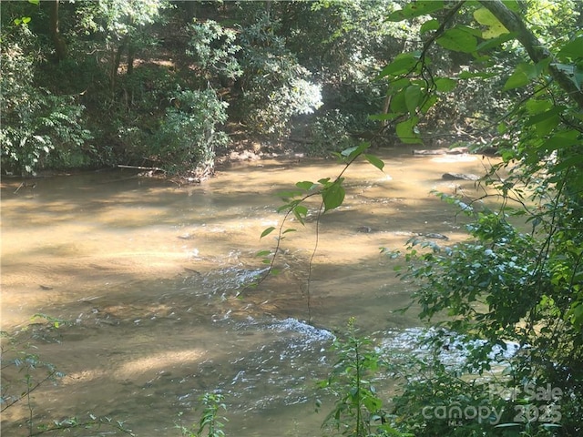 LOT5 Appaloosa Ln Unit 5, Tryon, NC 28782
