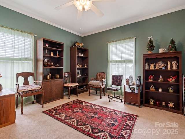 living area featuring carpet, a ceiling fan, and ornamental molding