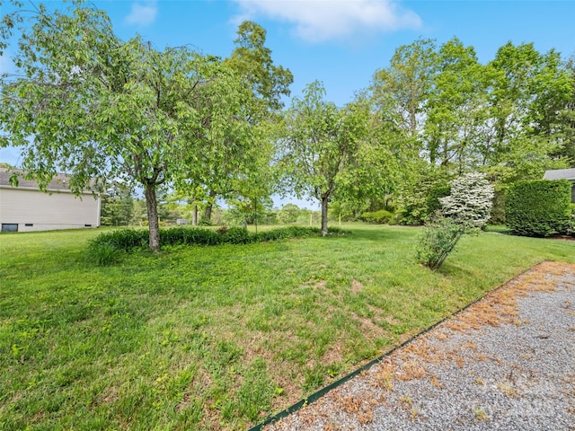 view of grassy yard