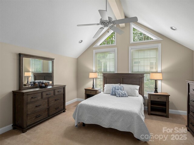 100 Mistletoe Trl, Hendersonville, NC 28791 - photo 20
