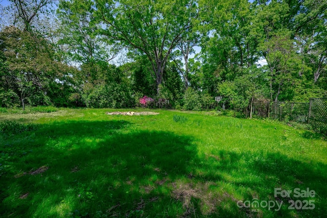 402 Hudson St, Winnsboro, SC 29180 - view of yard with fence