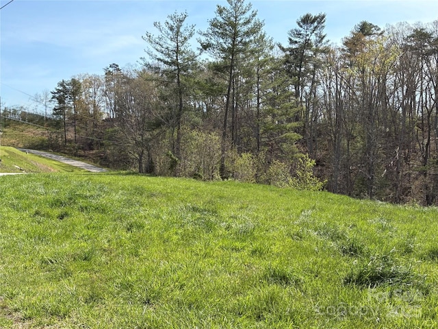 TBD Big Rocky Top Dr, Weaverville, NC 28787 - photo 2