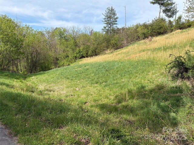 TBD Big Rocky Top Dr, Weaverville, NC 28787 - photo 4