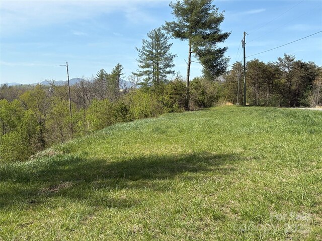 TBD Big Rocky Top Dr, Weaverville, NC 28787 - photo 5