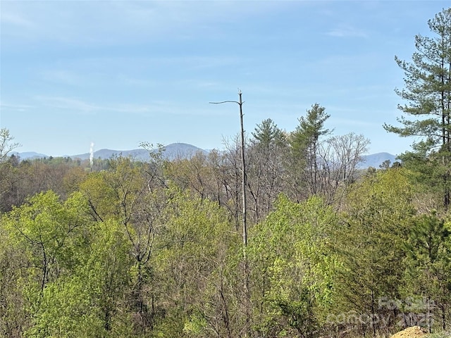 TBD Big Rocky Top Dr, Weaverville, NC 28787 - photo 6