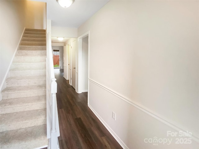 8026 Regent Park Ln, Charlotte, NC 28210 - stairway featuring wood finished floors and baseboards