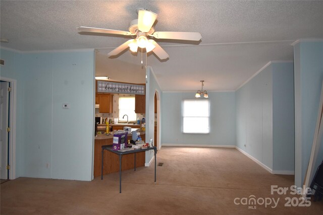 234 Olin Loop, Olin, NC 28660 - living area with crown molding, light carpet, ceiling fan, and a textured ceiling