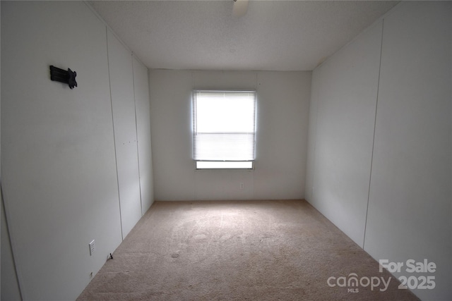 234 Olin Loop, Olin, NC 28660 - empty room with carpet floors
