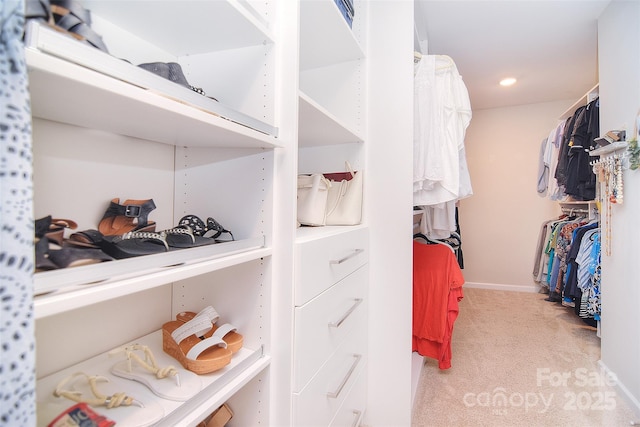2014 Burton Point Ct, Waxhaw, NC 28173 - walk in closet with light carpet