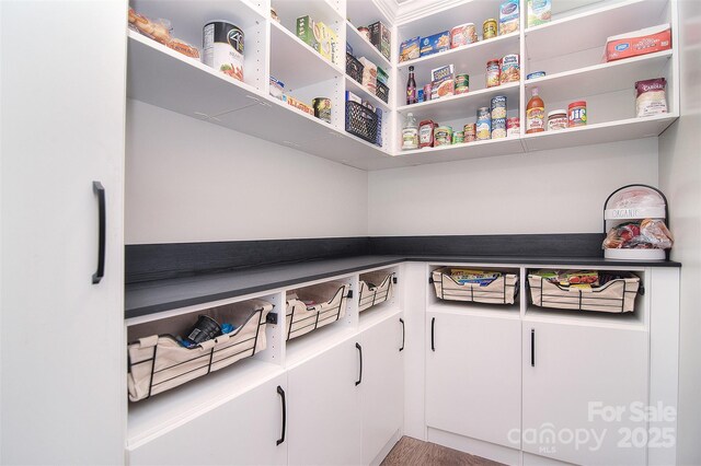 2014 Burton Point Ct, Waxhaw, NC 28173 - view of pantry