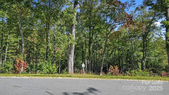 0 Mountain Grove Ln Lot 62, Fletcher, NC 28732