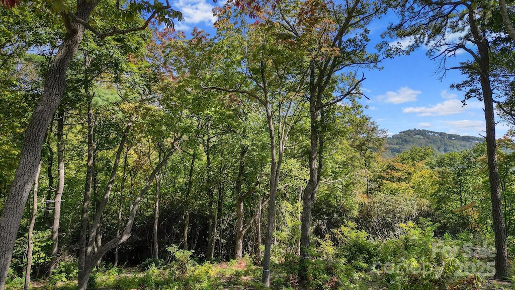 0 Mountain Grove Ln Lot 62, Fletcher, NC 28732