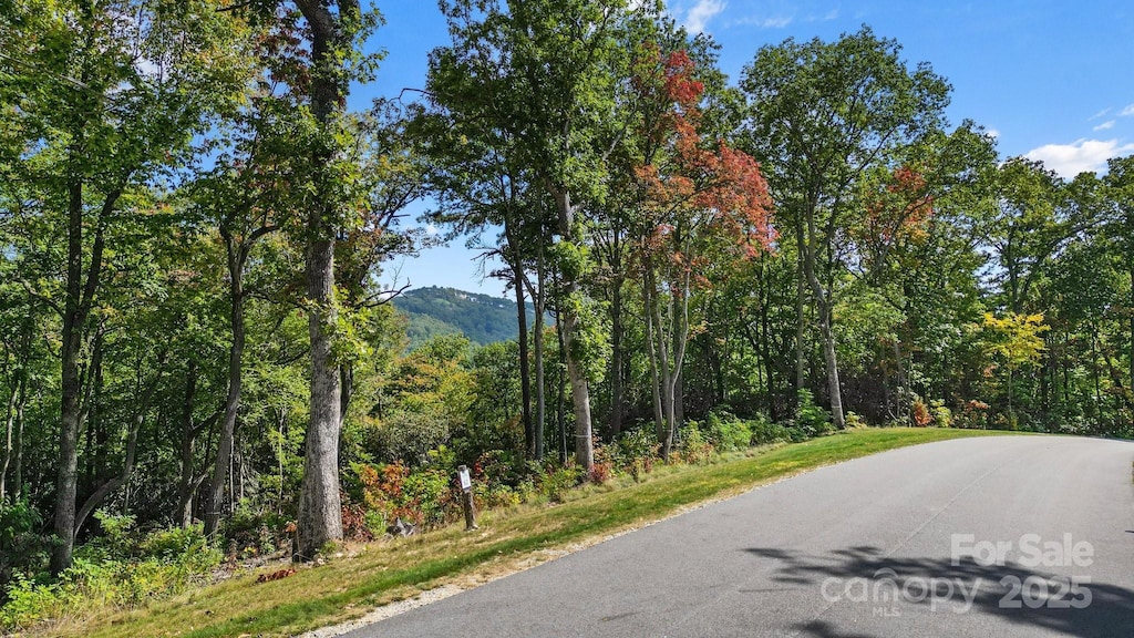 0 Mountain Grove Ln Lot 62, Fletcher, NC 28732