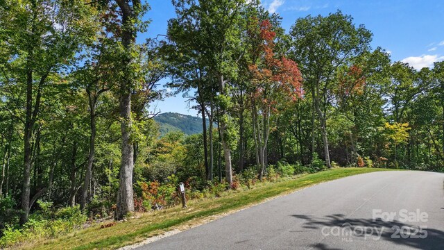 0 Mountain Grove Ln Lot 62, Fletcher, NC 28732