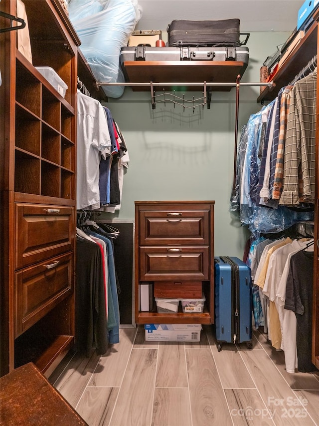 spacious closet featuring wood finish floors