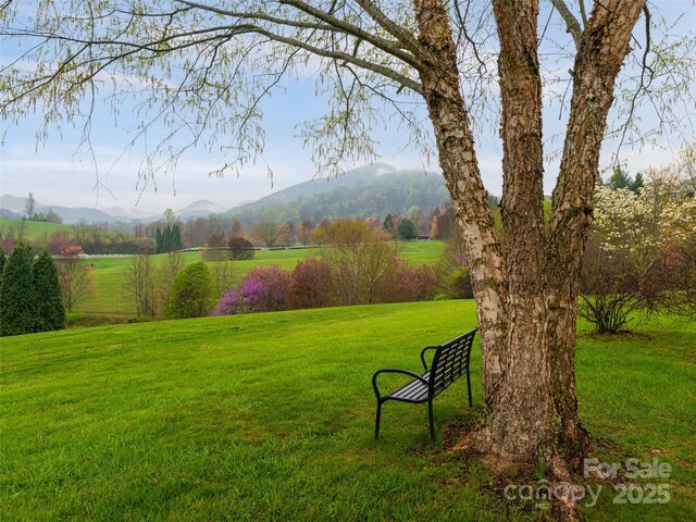 view of yard with a mountain view