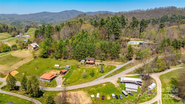 drone / aerial view with a view of trees and a mountain view