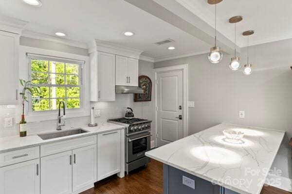 241 Wakefield Dr Unit C, Charlotte, NC 28209 - kitchen with under cabinet range hood, high end stainless steel range, visible vents, a sink, and a peninsula