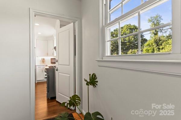 241 Wakefield Dr Unit C, Charlotte, NC 28209 - corridor with dark wood-type flooring and plenty of natural light