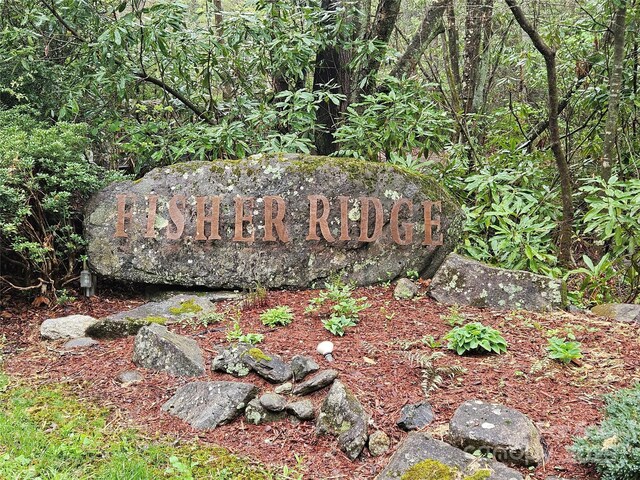 TBD Davy Crockett Dr Unit 109-112, Maggie Valley, NC 28751 - photo 5