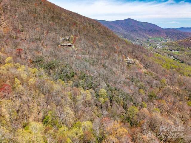 TBD Davy Crockett Dr Unit 109-112, Maggie Valley, NC 28751 - photo 12
