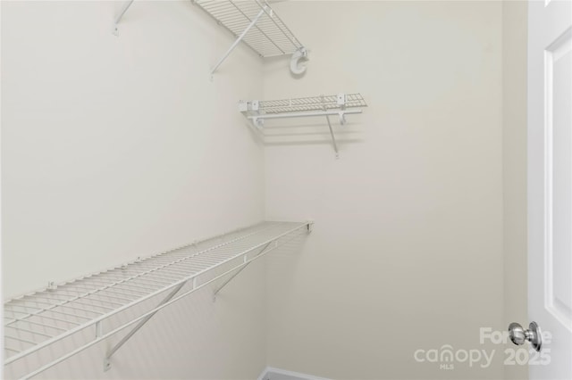 view of spacious closet