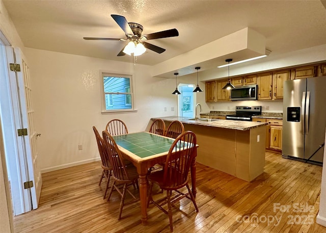 5381 State Highway 197 S Unit 3, Burnsville, NC 28714 - dining area with light wood-style flooring, baseboards, and a ceiling fan
