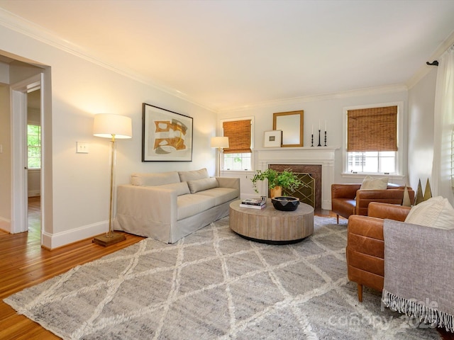 1596 Clayton Dr, Charlotte, NC 28203 - living area with crown molding, baseboards, wood finished floors, and a healthy amount of sunlight