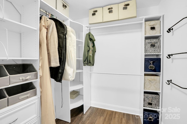 2417 Labelle Dr, Waxhaw, NC 28173 - walk in closet with wood finished floors