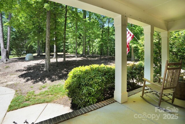 2417 Labelle Dr, Waxhaw, NC 28173 - view of porch
