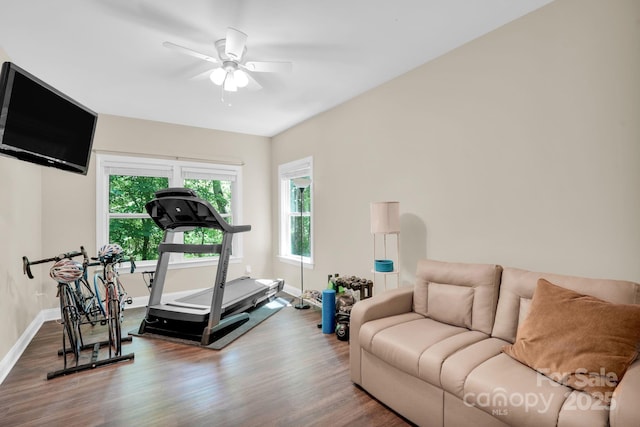 2417 Labelle Dr, Waxhaw, NC 28173 - workout room featuring wood finished floors and a ceiling fan