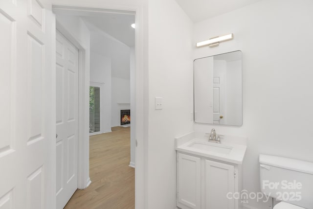 6523 Clavell Ln Unit I, Charlotte, NC 28210 - half bath featuring toilet, baseboards, wood finished floors, a warm lit fireplace, and vanity