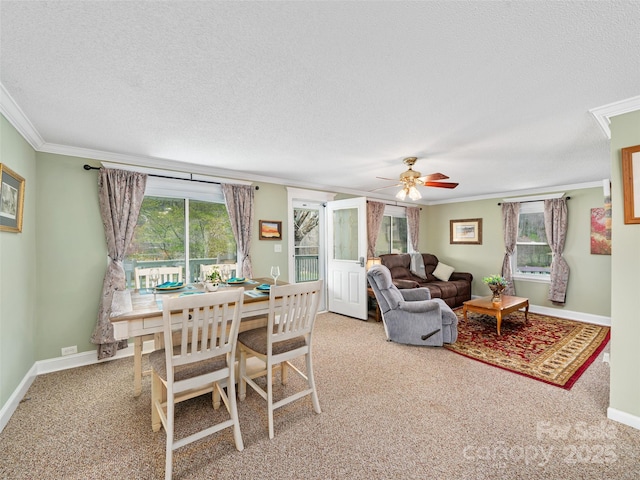 173 Odoms Chapel Rd, Bakersville, NC 28705 - carpeted living room featuring ceiling fan, baseboards, crown molding, and a textured ceiling