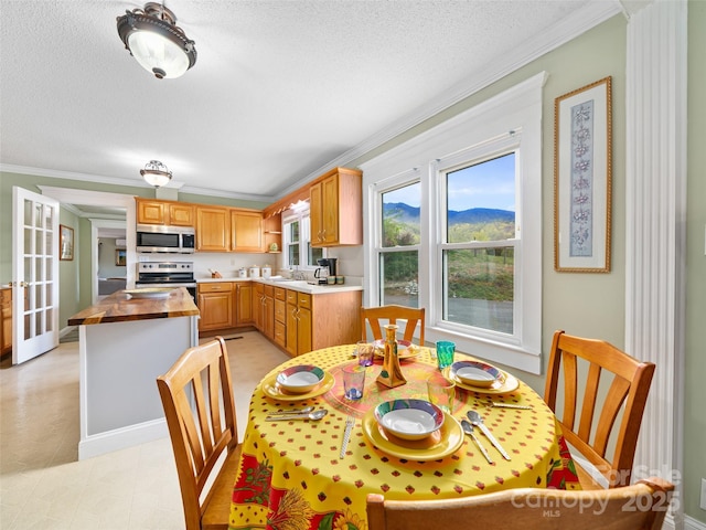 173 Odoms Chapel Rd, Bakersville, NC 28705 - kitchen featuring wood counters, crown molding, appliances with stainless steel finishes, and a sink
