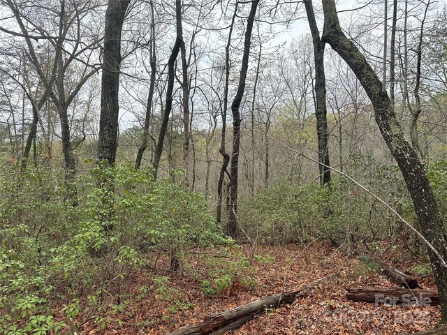 V/L Country Acres Dr, Old Fort, NC 28762 - photo 1