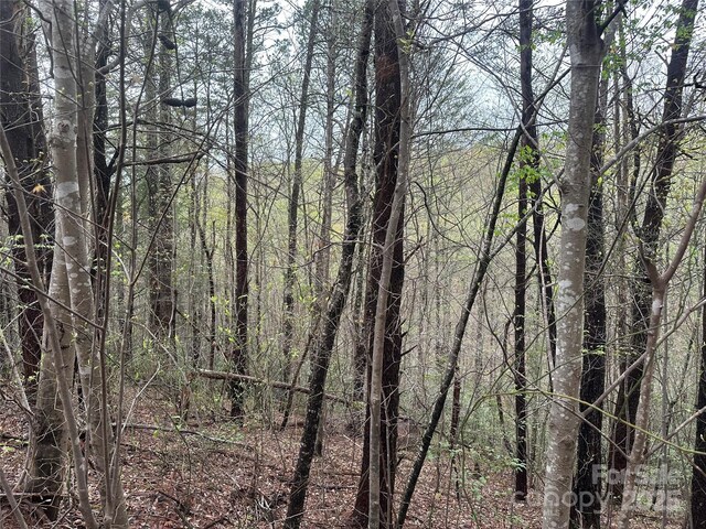 V/L Country Acres Dr, Old Fort, NC 28762 - photo 4