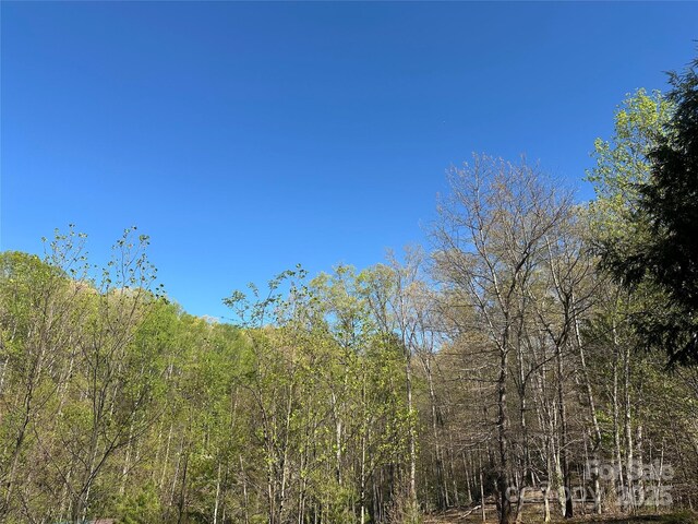V/L Country Acres Dr, Old Fort, NC 28762 - photo 5