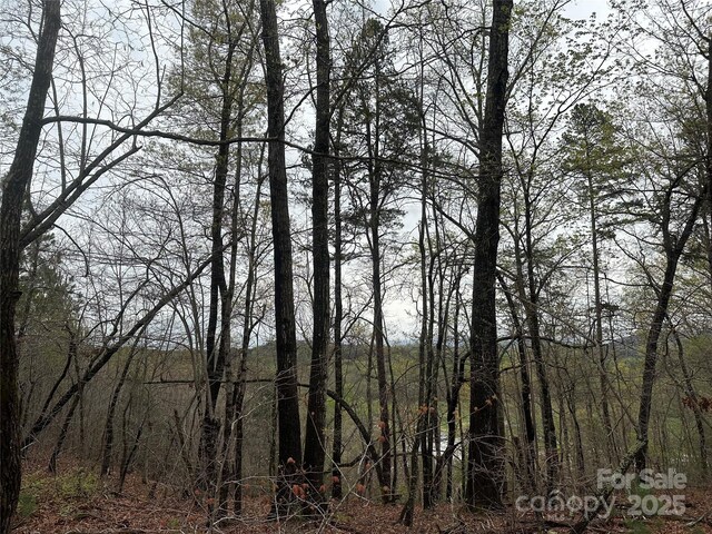 V/L Country Acres Dr, Old Fort, NC 28762 - photo 6