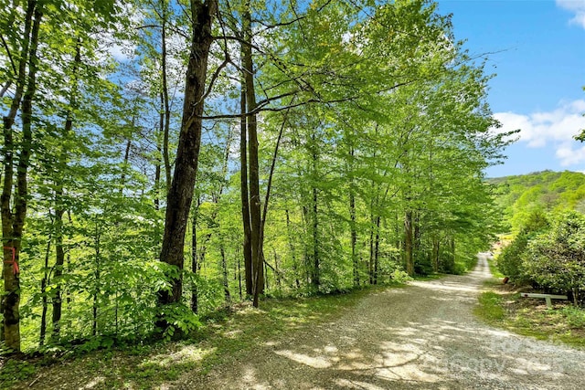 60 E Spring Wheel Dr, Old Fort, NC 28762 - photo 13