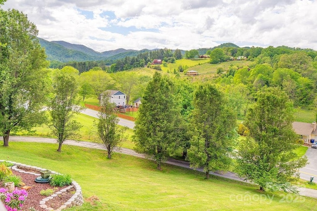 view of home's community with a mountain view