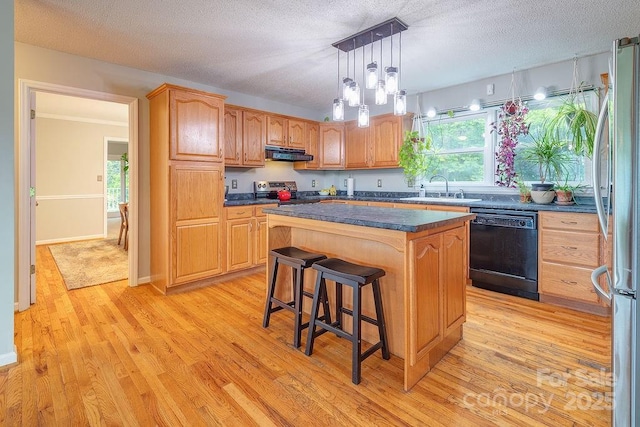 kitchen with under cabinet range hood, a sink, dark countertops, stainless steel appliances, and light wood-type flooring