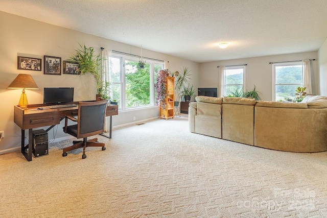 carpeted office with plenty of natural light, baseboards, and a textured ceiling