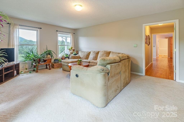 living room with a textured ceiling and light colored carpet