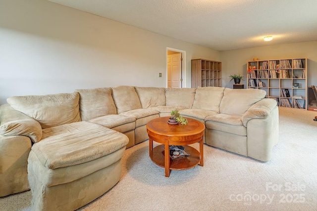 view of carpeted living area