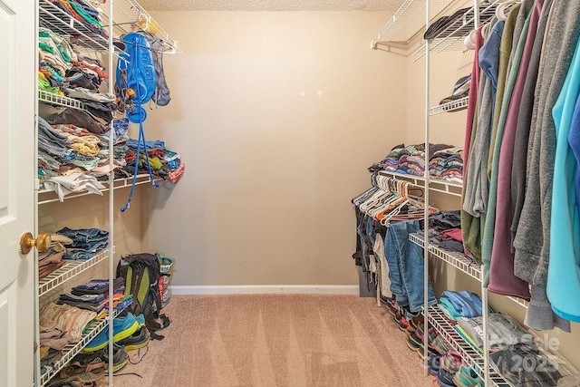 spacious closet featuring carpet flooring
