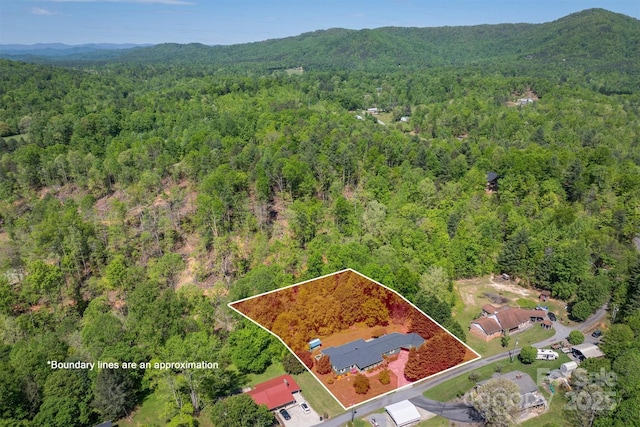 3535 Terra Firma Dr, Lenoir, NC 28645 - photo 37
