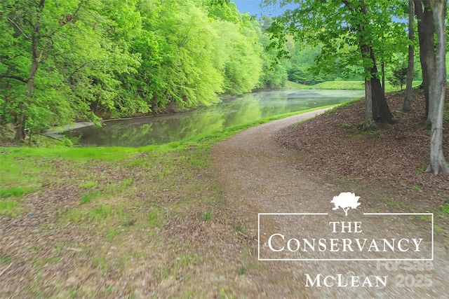 504 Gardenbrook Trl, Belmont, NC 28012 - view of road