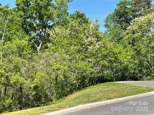 608 Stonehenge Dr, Rock Hill, SC 29730 - photo 2