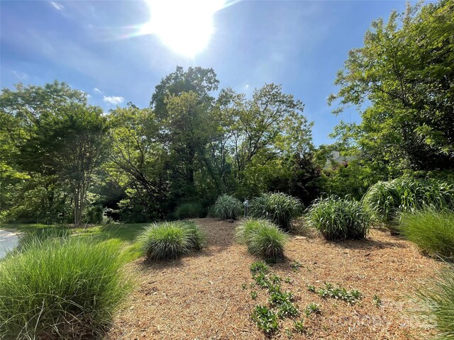 608 Stonehenge Dr, Rock Hill, SC 29730 - photo 5
